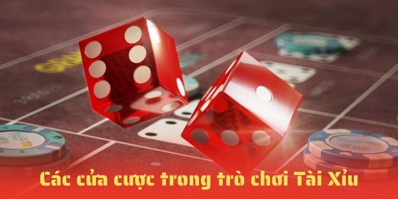 Các cửa cược có trong Tài Xỉu 23WIN 2024