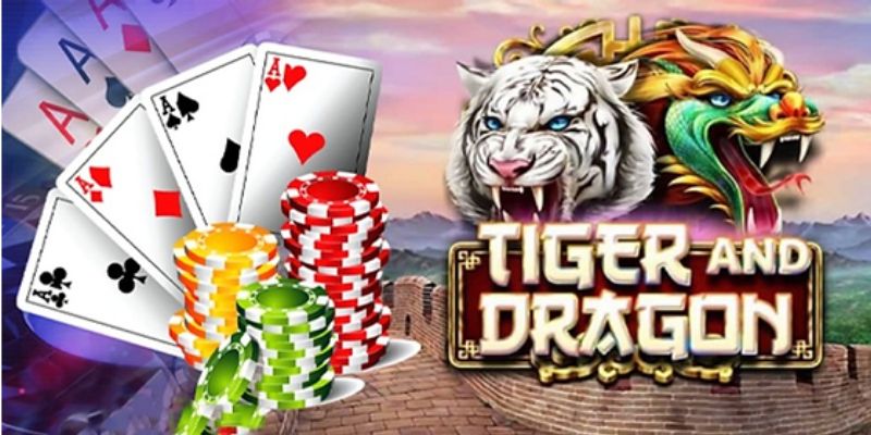 Quy trình diễn ra ván cược tại rồn hổ 23win