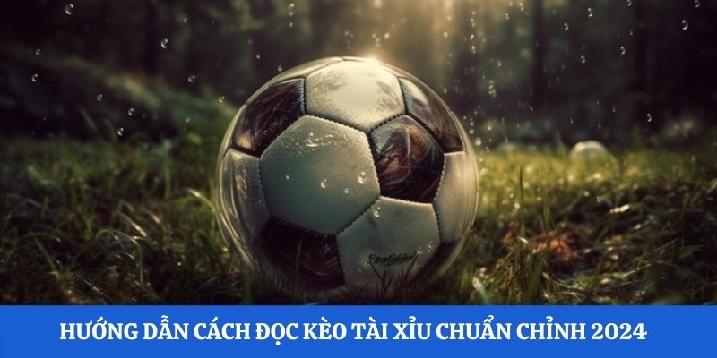 kèo tài xỉu tại 23win