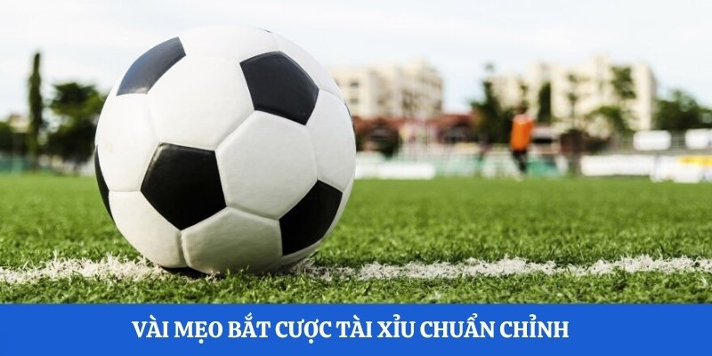 Vài mẹo bắt cược Tài Xỉu chuẩn chỉnh